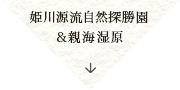 姫川源流自然探勝園&親海湿原