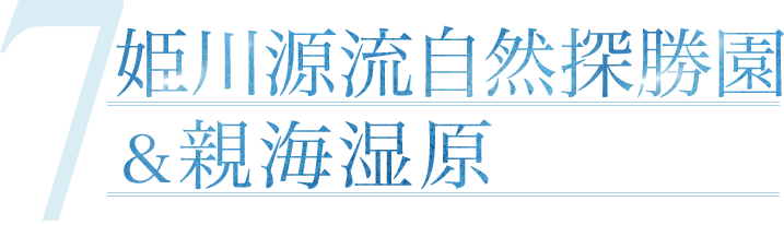姫川源流自然探勝園&親海湿原