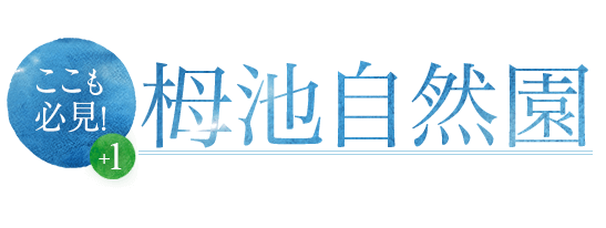 栂池自然園
